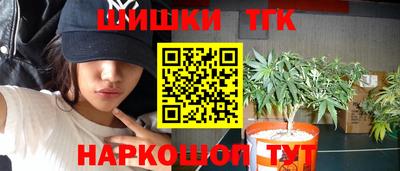 Альфа ПВП Новозыбков