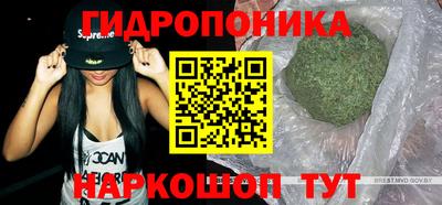 Альфа ПВП Новозыбков