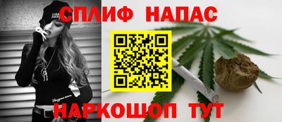 Альфа ПВП Новозыбков