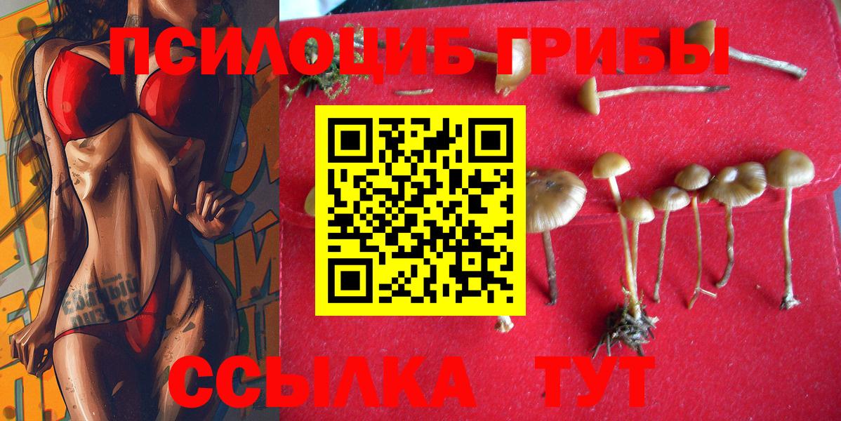 Сарапул  Галлюциногенные грибы Psilocybe  Галлюциногенные грибы Psilocybine cubensis  Вход с VPN 