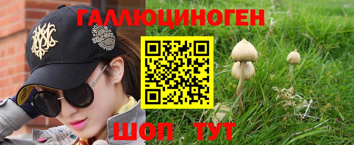 Псилоцибиновые грибы MAGIC MUSHROOMS Сарапул