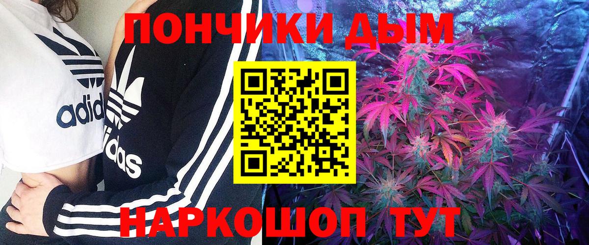 Бошки Шишки ГИДРОПОН Сарапул